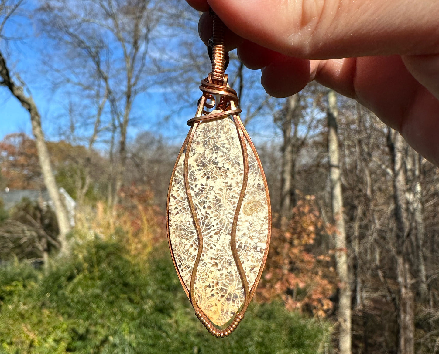 Wire-Wrapped Fossilized Coral Pendant in Copper