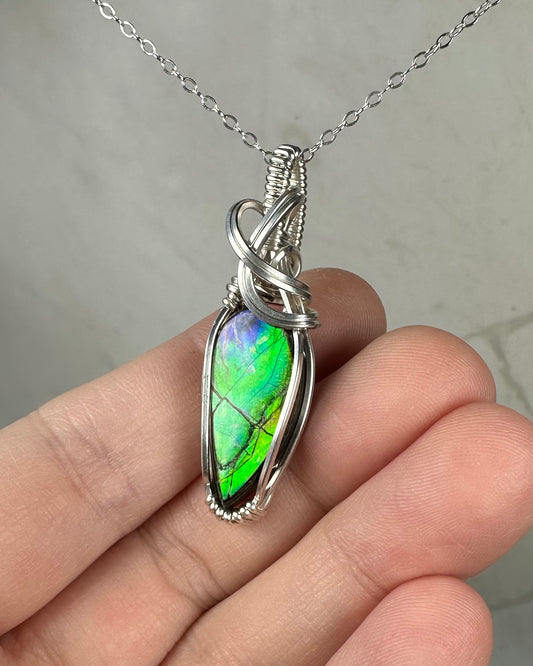 Flashy Rare, Natural Ammolite Pendant Wire-Wrapped in Sterling Silver