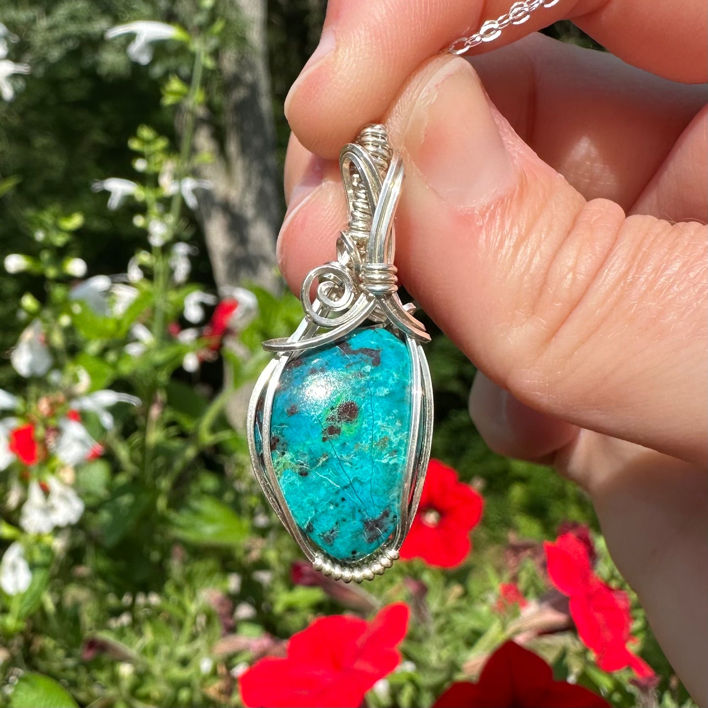 Parrot Wing Chrysocolla from Mexico Wrapped in Sterling Silver Wire