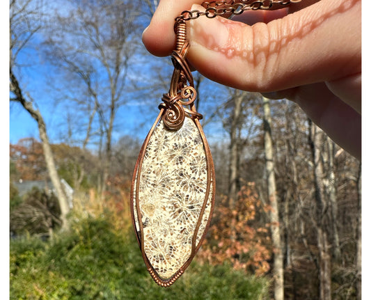 Wire-Wrapped Fossilized Coral Pendant in Copper