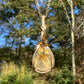 14k Goldfilled Wire-Wrapped Gold Star Rutilated Quartz Pendant